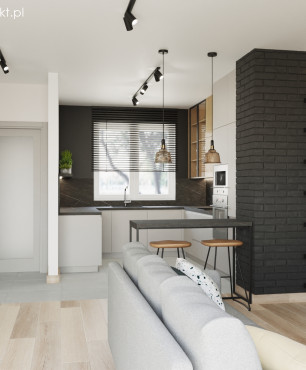 Otwarta przestrzeń w mieszkaniu łącząca ze sobą korytarz, salon i kuchnię